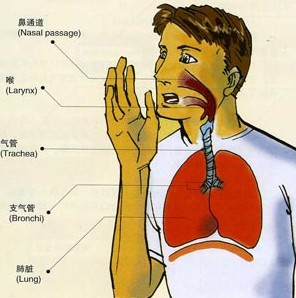 学会呼吸与导引,吞津相配合